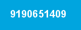 9190651409