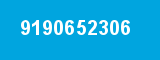 9190652306