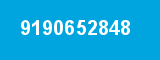 9190652848
