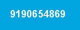 9190654869