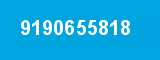 9190655818