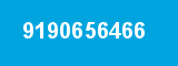 9190656466