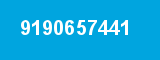 9190657441