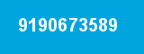 9190673589