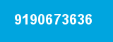 9190673636