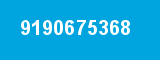 9190675368