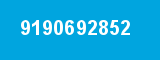 9190692852