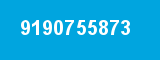 9190755873