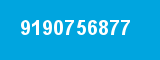 9190756877
