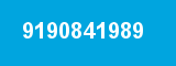 9190841989