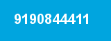 9190844411