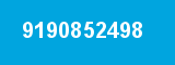 9190852498