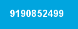 9190852499