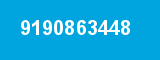 9190863448