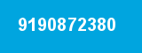9190872380