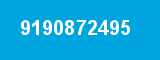 9190872495