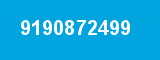9190872499