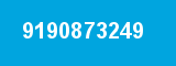 9190873249 9190873249