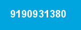 9190931380