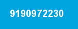 9190972230
