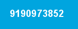 9190973852