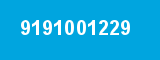 9191001229