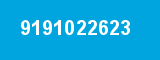9191022623