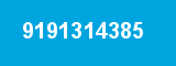 9191314385