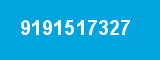 9191517327