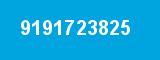 9191723825