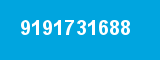 9191731688