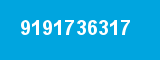 9191736317