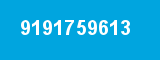 9191759613