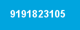9191823105