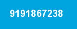 9191867238
