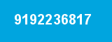 9192236817