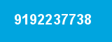 9192237738