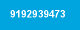 9192939473