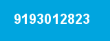 9193012823