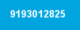9193012825