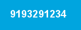 9193291234