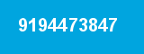9194473847