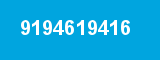 9194619416