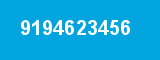 9194623456