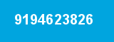 9194623826