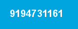 9194731161