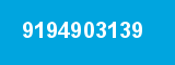 9194903139