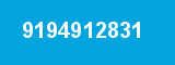 9194912831