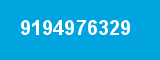 9194976329