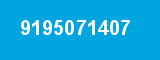 9195071407